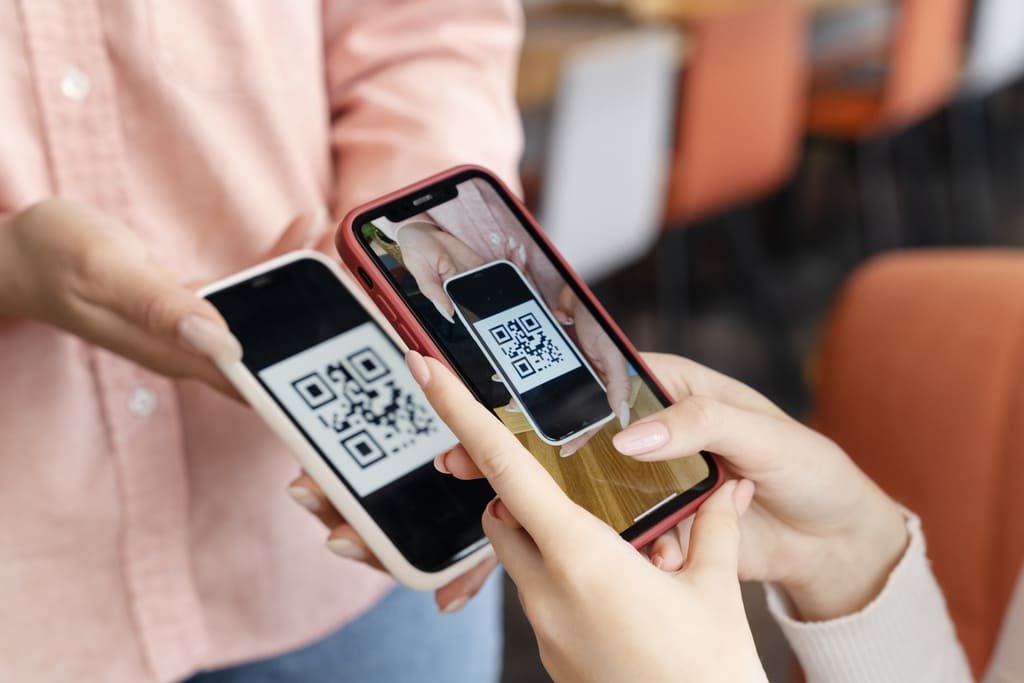 https://netmonet.co/qr-pay